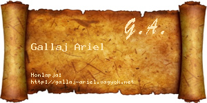 Gallaj Ariel névjegykártya